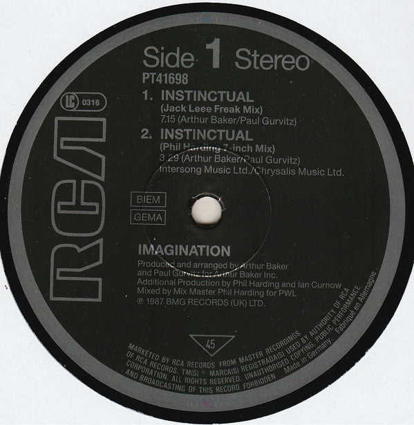 Imagination : Instinctual (12", Maxi)
