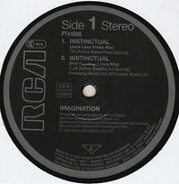 Imagination : Instinctual (12", Maxi)
