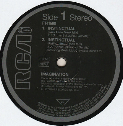 Imagination : Instinctual (12", Maxi)