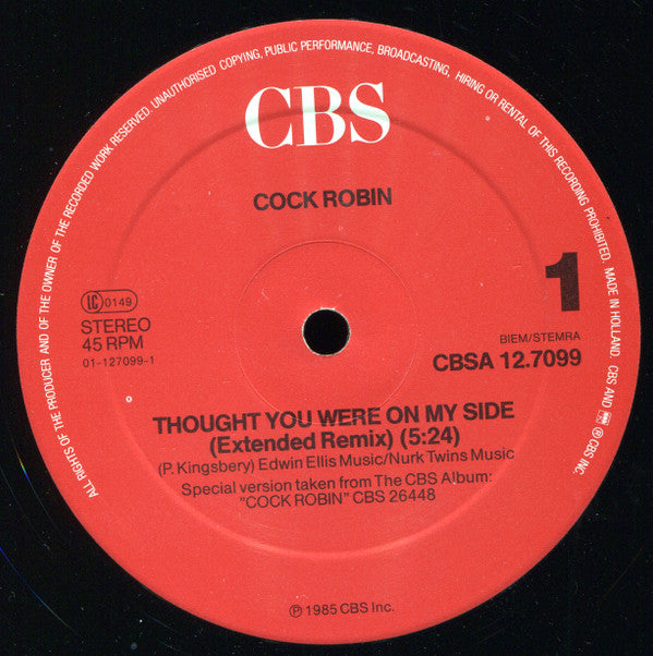 Cock Robin : Thought You Were On My Side (Extended Re-mix) (12", Maxi)