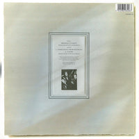 The Big Dish : Prospect Street (12")