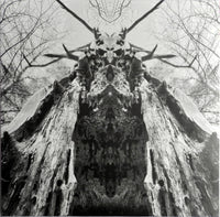 Rulaman : To Serve The Dune (LP, Album, Ltd, Gre)