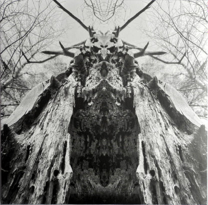 Rulaman : To Serve The Dune (LP, Album, Ltd, Gre)