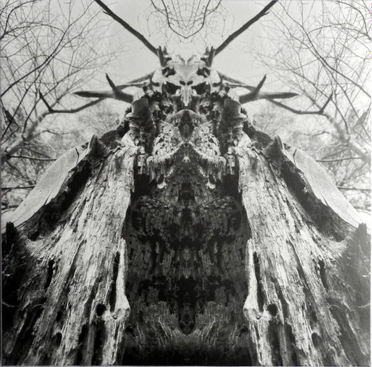 Rulaman : To Serve The Dune (LP, Album, Ltd, Gre)