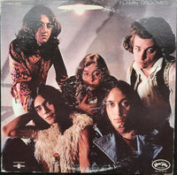 Flamin Groovies* : Flamingo (LP, Album, RE)