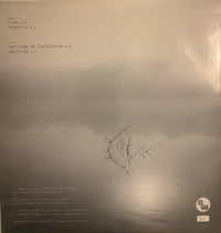 Arbeitsgruppe Warschau : Reflected (12", Ltd)