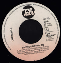 Cherrelle : Everything I Miss At Home (7")