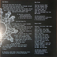 Spires That In The Sunset Rise : This Is Fire (LP, Album, Ltd, RE)