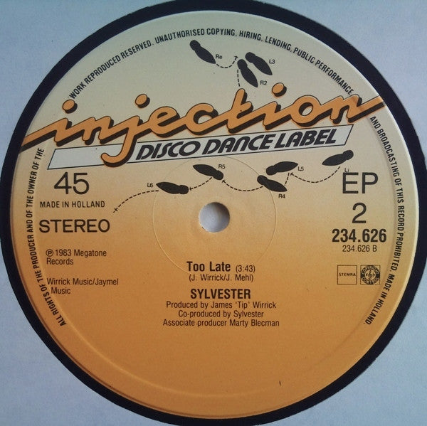 Sylvester : Trouble In Paradise (12", EP)