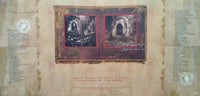 Fields Of The Nephilim : The Nephilim (2xLP, Album, Ltd, RE, Gol)