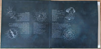 Colour Haze : Sacred (LP, Album, Ltd, Num, RM, S/Edition)