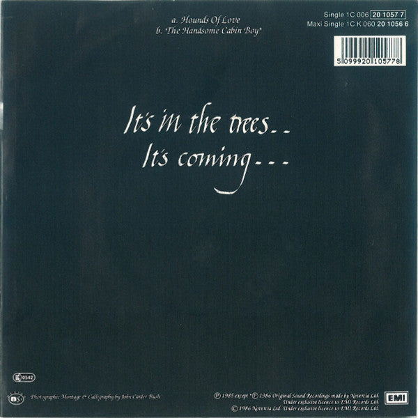 Kate Bush : Hounds Of Love (7", Single)