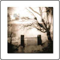 James Vincent McMorrow : Red Dust (7", Single)