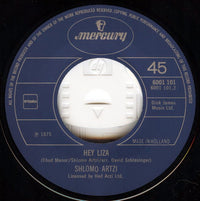 Shlomo Artzi : At Veani (7", Single)