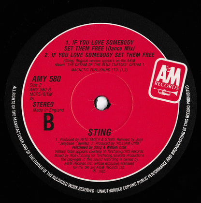 Sting : Englishman In New York (The Ben Liebrand Mix) (12", Single)