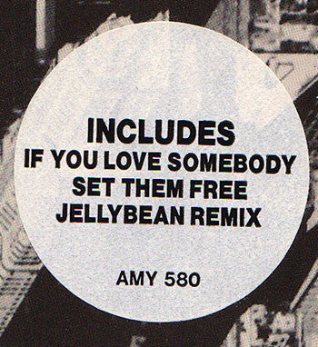 Sting : Englishman In New York (The Ben Liebrand Mix) (12", Single)