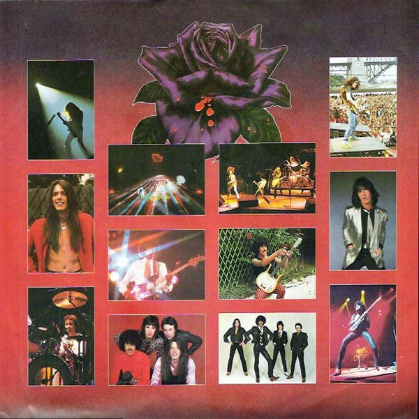 Thin Lizzy : Black Rose (A Rock Legend) (LP, Album)
