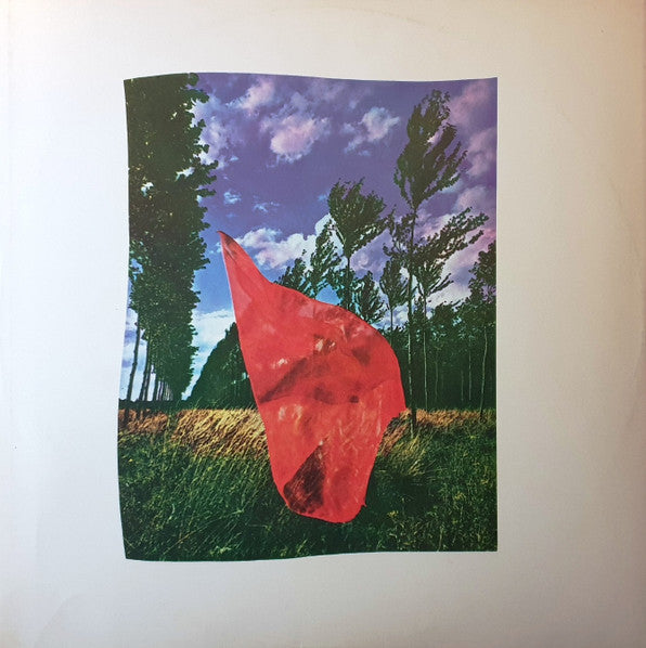 Pink Floyd : Wish You Were Here (LP, Album)