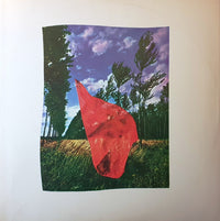 Pink Floyd : Wish You Were Here (LP, Album)