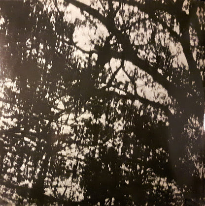 Rare Bird : Epic Forest (2xLP, Album, RP)