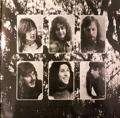 Rare Bird : Epic Forest (2xLP, Album, RP)