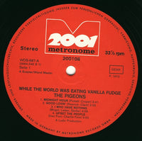 The Pigeons (2) : While The World Was Eating Vanilla Fudge (LP, Album)