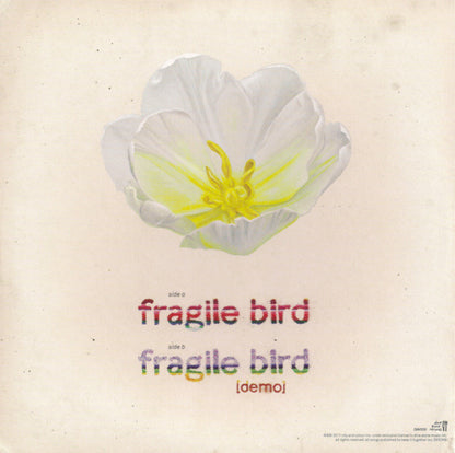 City And Colour : Fragile Bird (7", Single)
