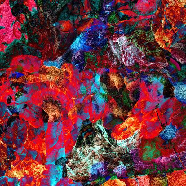 San Leo : AVES RARAS (LP, Album, Ltd, Blu)