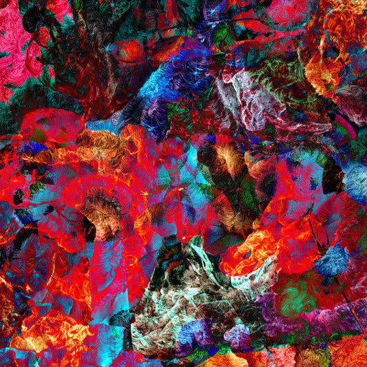 San Leo : AVES RARAS (LP, Album, Ltd, Blu)