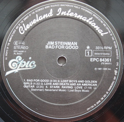 Jim Steinman : Bad For Good (LP, Album)