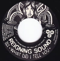 Reigning Sound / Last Year's Men : What Did I Tell You / In My Car (7", Promo)
