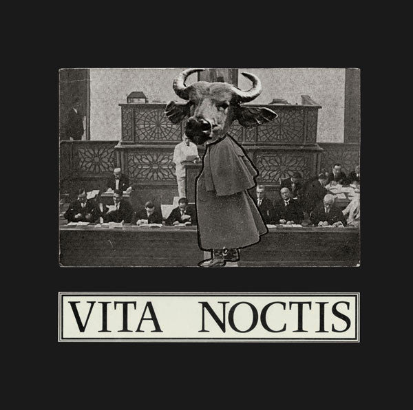 Vita Noctis : Against The Rule (2xLP, Comp, RE, RM)