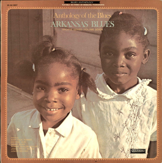 Various : Arkansas Blues (LP, Comp, RE)