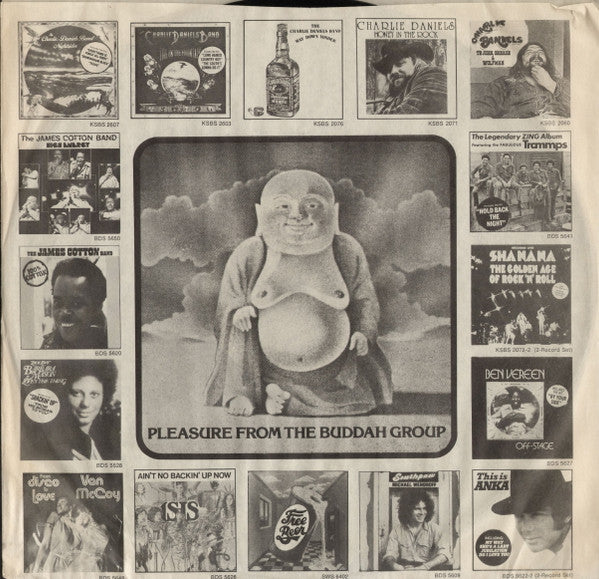 Various : Arkansas Blues (LP, Comp, RE)