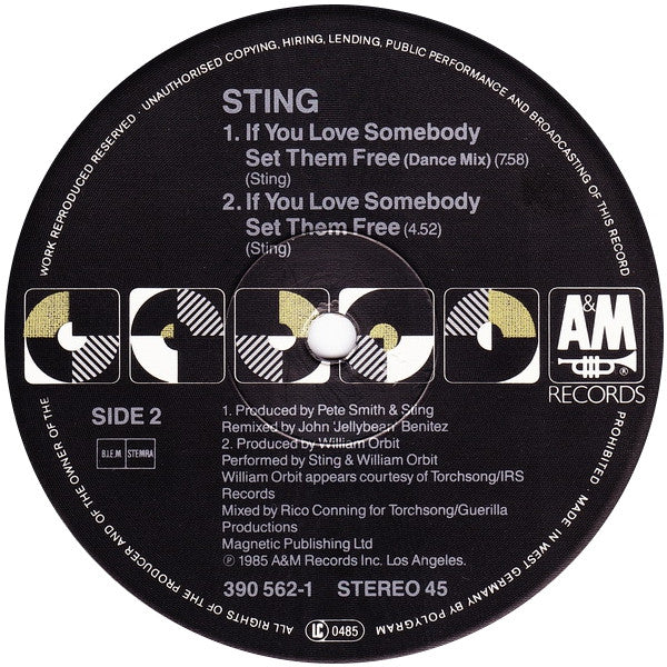 Sting : Englishman In New York (The Ben Liebrand Mix) (12")