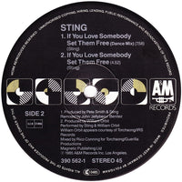 Sting : Englishman In New York (The Ben Liebrand Mix) (12")