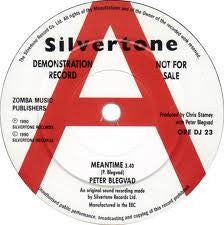 Peter Blegvad : Meantime (7", Single, Promo)