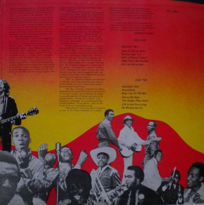 Byron Lee And The Dragonaires & Friends* : Jamaica's Golden Hits (2xLP, Gat)