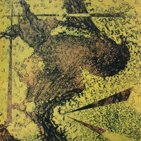 Indra Kãrmuka* : Aardster • Bovist (LP)