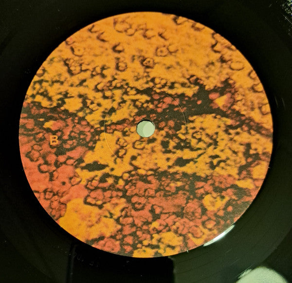 Indra Kãrmuka* : Aardster • Bovist (LP)