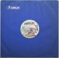 The Ritchie Family : American Generation (LP, Album, P/Mixed, PRC)
