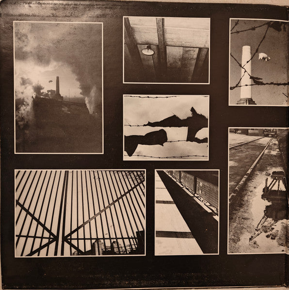 Pink Floyd : Animals (LP, Pin)