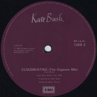Kate Bush : Cloudbusting (12", Single, Pur)