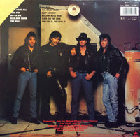 John Kay & Steppenwolf : Rise And Shine (LP, Album)
