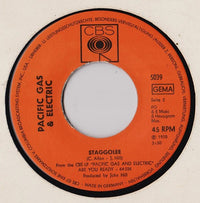 Pacific Gas & Electric : Are You Ready (7", Single)