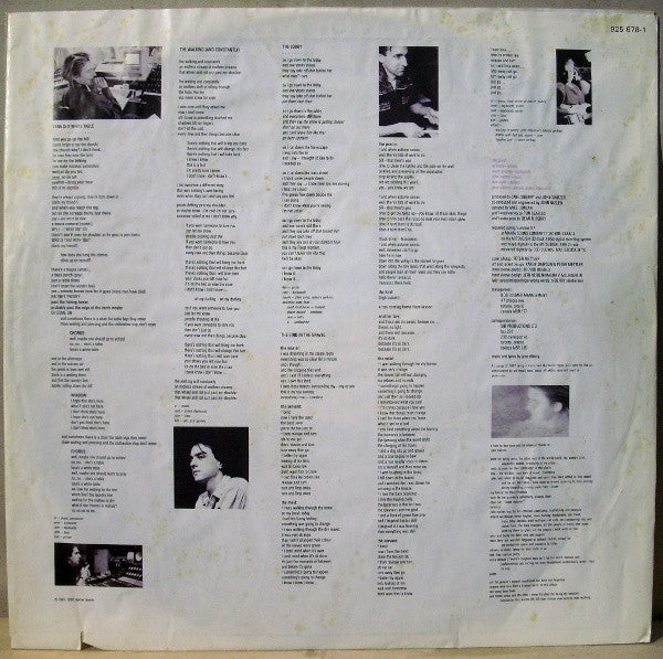 Jane Siberry : The Walking (LP, Album)