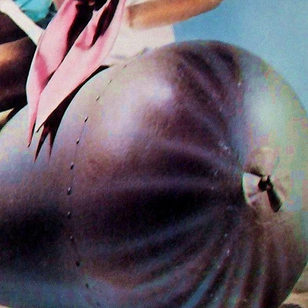 The Pretty Things : Silk Torpedo (LP, Album, MO-)