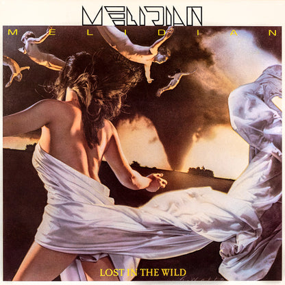 Melidian : Lost In The Wild (LP)