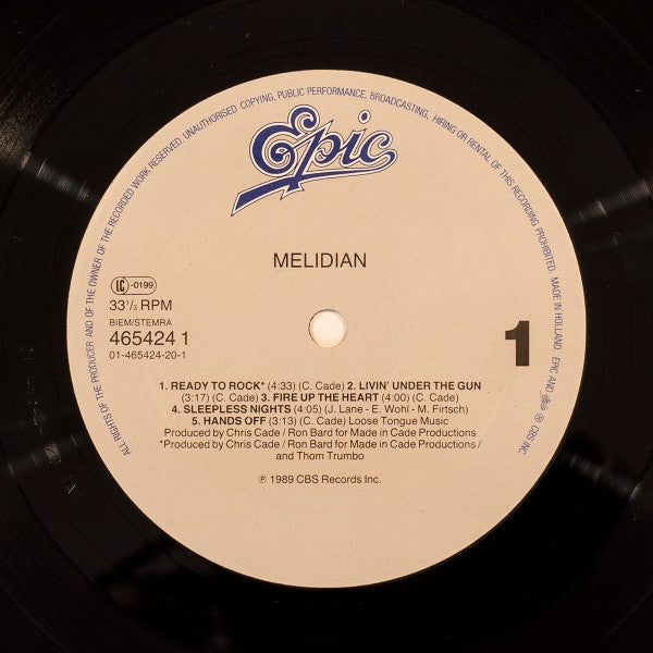Melidian : Lost In The Wild (LP)