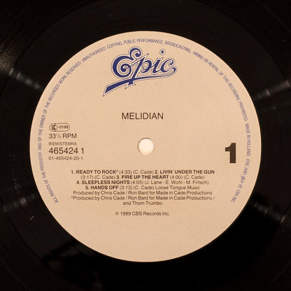 Melidian : Lost In The Wild (LP)